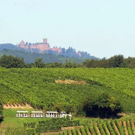 Au Petit Bouchon Châtenois